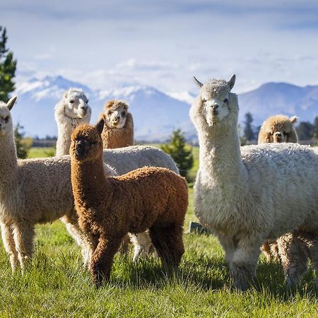 Criffel Station Farmstays Luggate المظهر الخارجي الصورة